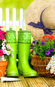 firewood,plants,birding,pets,pots,flowers,gifts,delivery,wisconsin,bayside