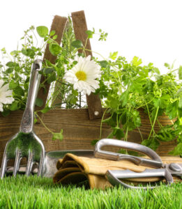flowers,firewood,plants,baskets,pots,bowls,herbs,vegetables,shade,bayside