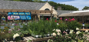 flowers,firewood,plants,baskets,pots,bowls,herbs,vegetables,shade,bayside