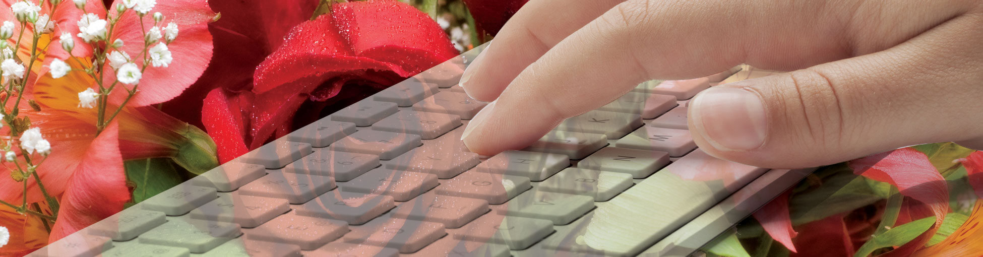 Flowers Online Delivery Buy Flowers Online Nursery Near me