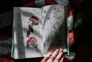 A lady saved some pressed flowers in her book