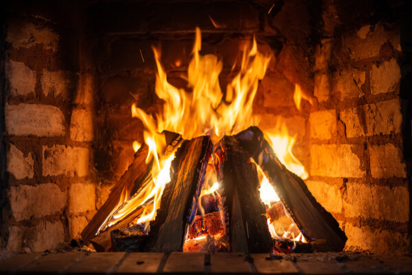 Firewood at Bayside Garden Center
