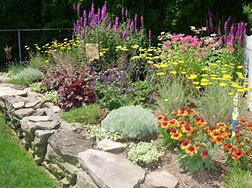 Garden Fertilizer