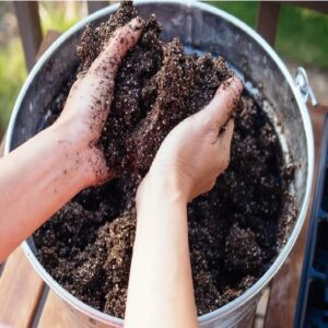 Potting Mix