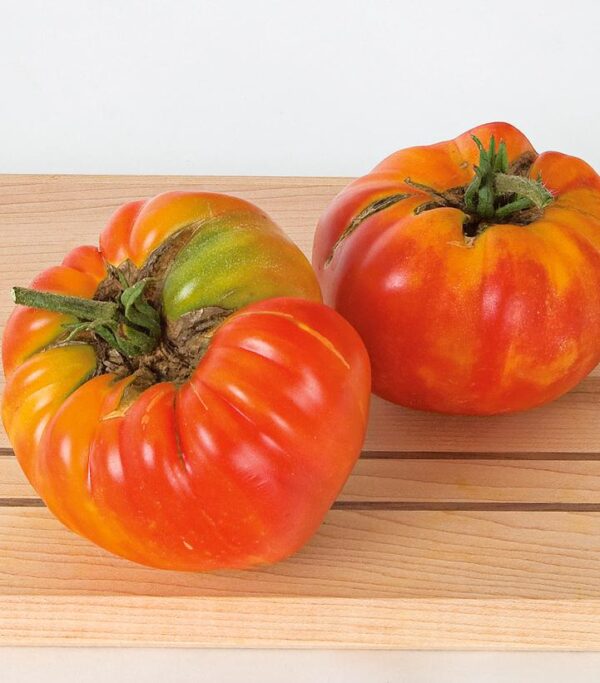 TOMATO `STRIPED GERMAN` (SLICER)