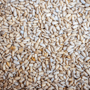 Coarse Whole Sunflower Meats Bird Seed