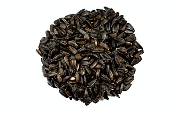 Black Oil Sunflower Birdseed