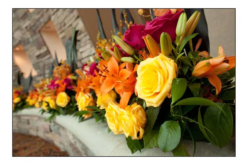 Bayside Garden Center logo