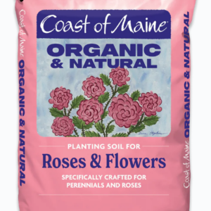 Coast of Maine Rose/Flower 20q